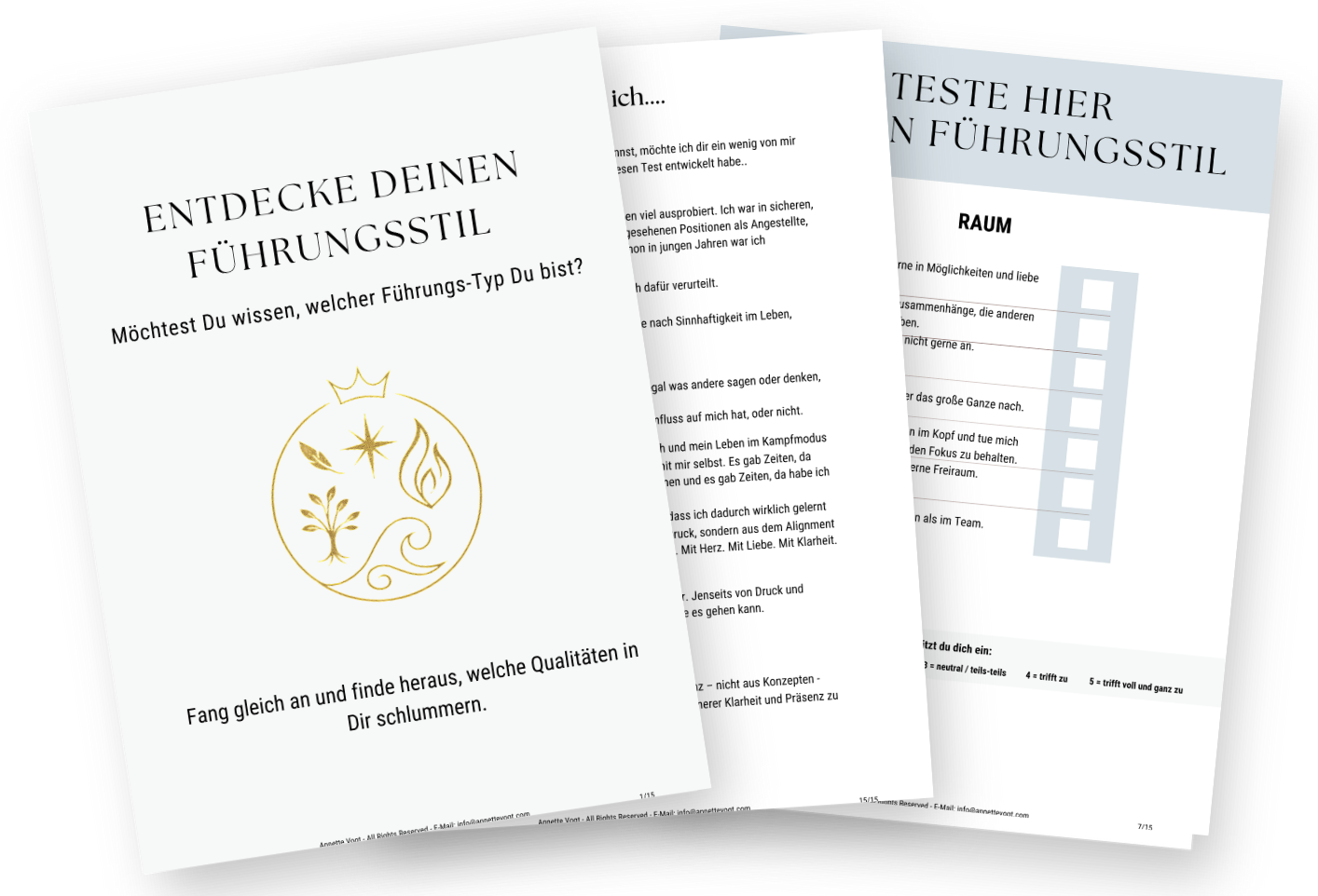 Fuehrungstyp Mockup 3